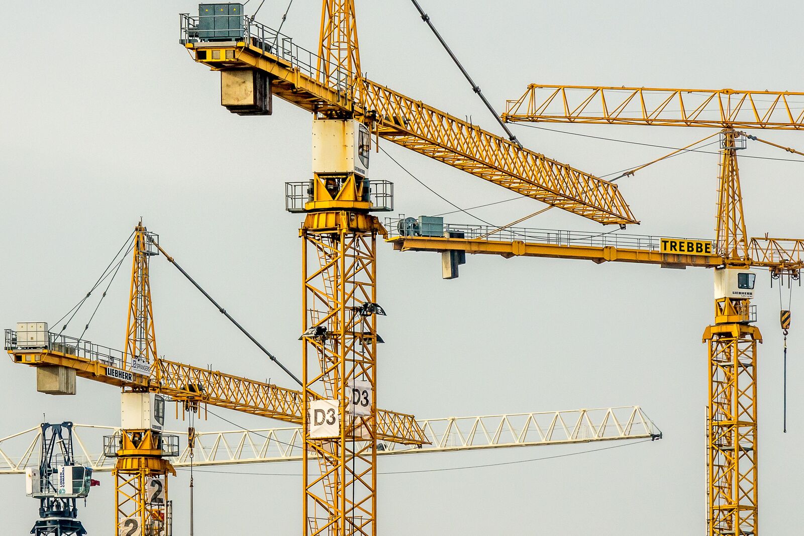 Tower cranes above a commercial construction site